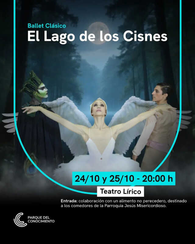 El arte en movimiento: cuatro propuestas imperdibles en Posadas 4 20251023 acm 06 el lago de los cisnes - 3