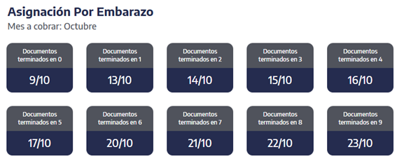 ANSES publicó el calendario de pagos de octubre para jubilados, AUH y planes sociales 4 Asignación por embarazo octubre 2025