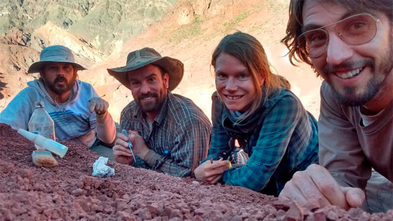 Científicos del CONICET descubren en La Rioja uno de los dinosaurios más antiguos del mundo G3VgsD4WYAAZVMc - 2