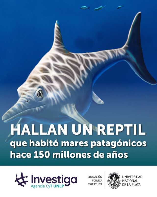 El Talud Continental revela su biodiversidad: así es el ecosistema oculto de la Patagonia 7 G3d3sPhXAAAz 1V - 6
