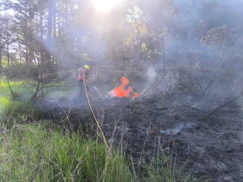 Controlaron un incendio de malezas sobre la Ruta Nacional 12 en Santa Ana 4 Imagen de WhatsApp 2025 10 05 a las 17.01.49 2387344e - 3