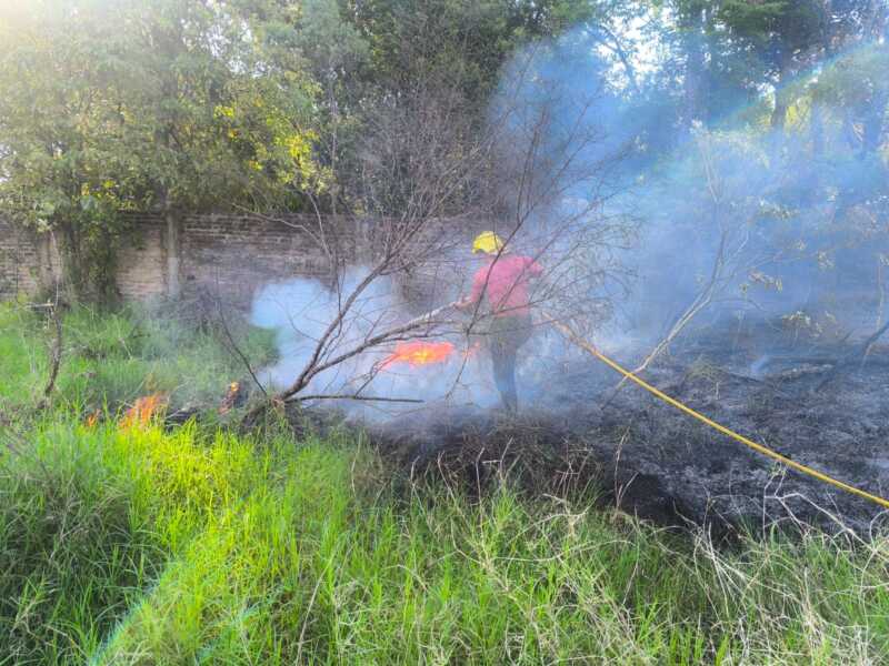 Controlaron un incendio de malezas sobre la Ruta Nacional 12 en Santa Ana 2 Incendio frente a una yerbatera de Santa Ana: bomberos evitaron que se propague