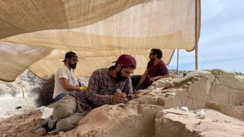 Paleontólogos del CONICET encontraron un huevo de dinosaurio carnívoro casi intacto en Río Negro huevo de dinosaurio