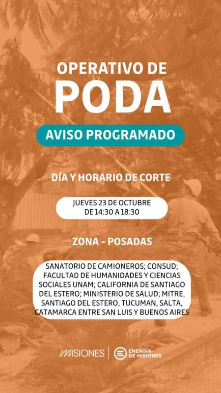 Operativo de poda programado en Posadas: cortes de energía por mantenimiento 2 operativo