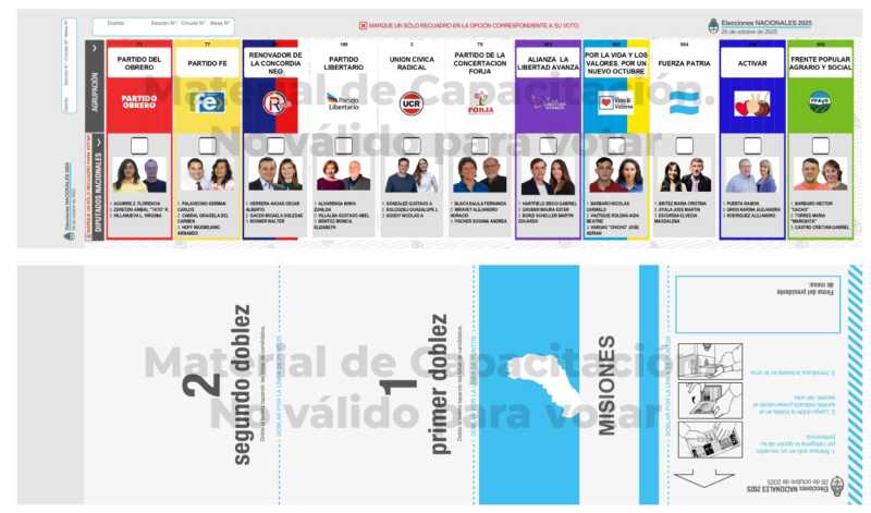 ¿Lapicera sí o lapicera no?: el análisis de una especialista de cara a las elecciones 5 WhatsApp Image 2025 10 24 at 10.40.48 - 4