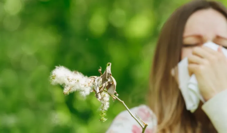 Alergias de primavera: factores, síntomas y soluciones médicas recomendadas 2 Rinitis, ojos irritados y broncoespasmos son algunos de los síntomas de las alergias de primavera que pueden controlarse con inmunoterapia y seguimiento profesional.