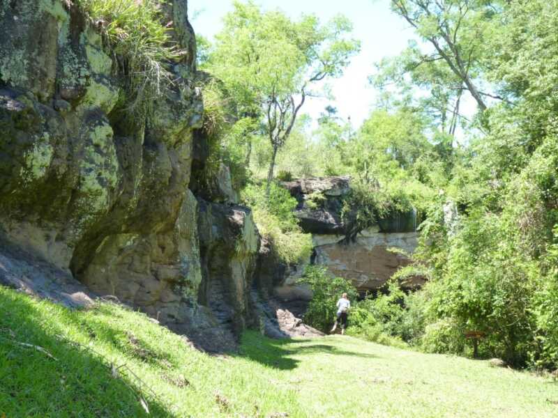 Reprograman la fecha de Misiones Respira: Dr. Cormillot compartirá sus secretos 5 profundidad misiones respira