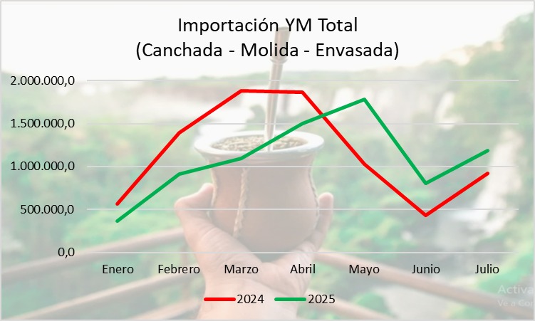 Yerba mate: “Las importaciones representan solo el 3,4 % del consumo interno; el verdadero problema es la concentración” 17 castro8 - 16