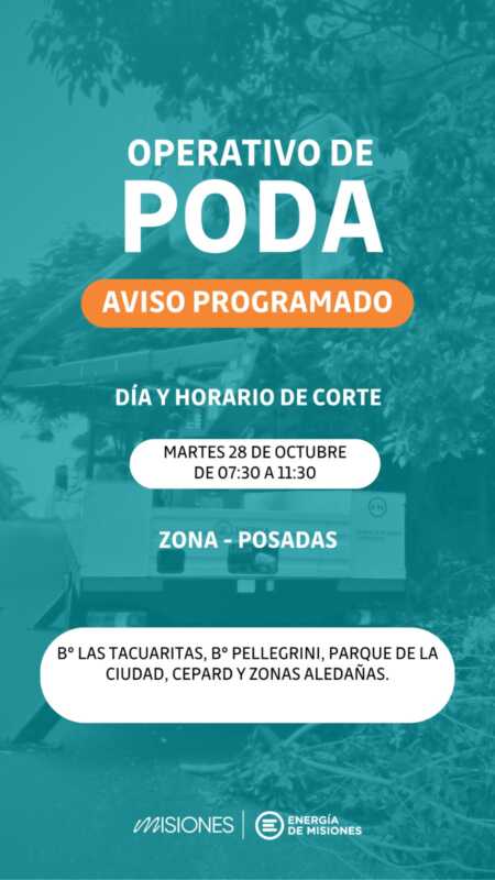 Cortes de luz en el microcentro y otros barrios de Posadas: cuándo y en qué horarios 3 cortes de luz
