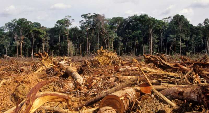 Calentamiento global en cifras: 2025 rompe récords históricos de temperatura y deshielo 1 El 2025 fue el año más caluroso registrado, con récords de temperatura, deshielo y aumento de gases de efecto invernadero, según la OMM.