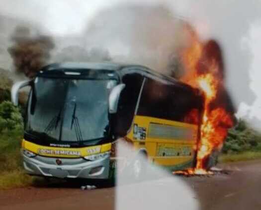 Susto en la ruta 17: un colectivo se incendió en Pozo Azul incendio colectivo pozo azul
