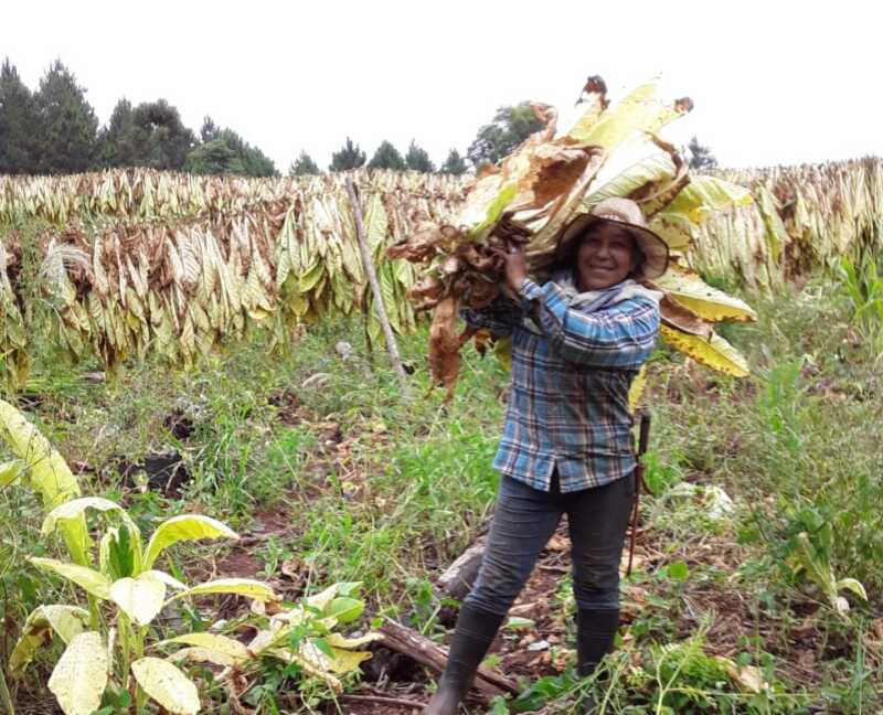 mujer rural en Misiones