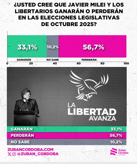 Londero: “Si Milei pierde, un 30% de los argentinos cree que debería renunciar” 4 percepcion voto - 3