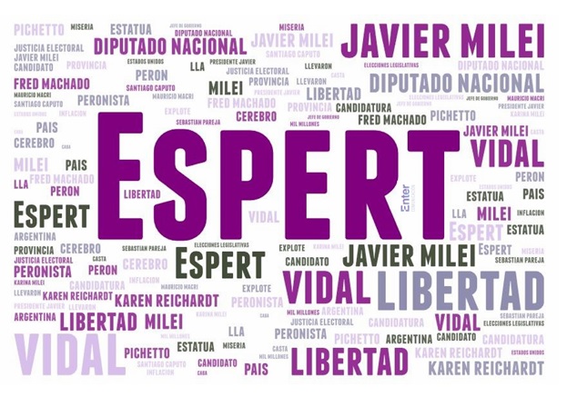 Los cuatro escándalos políticos que más sacudieron las redes sociales en 2025, según la consultora Enter 8 reacciones espert - 7