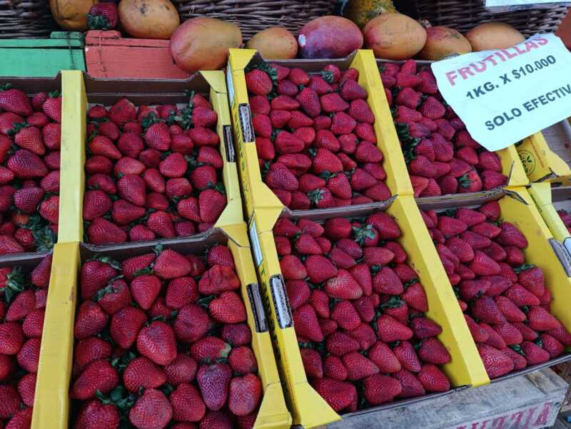 Comerciantes de Posadas esperan repunte de ventas a fin de año, tras un noviembre igual o peor que el de 2024 2 Comerciante