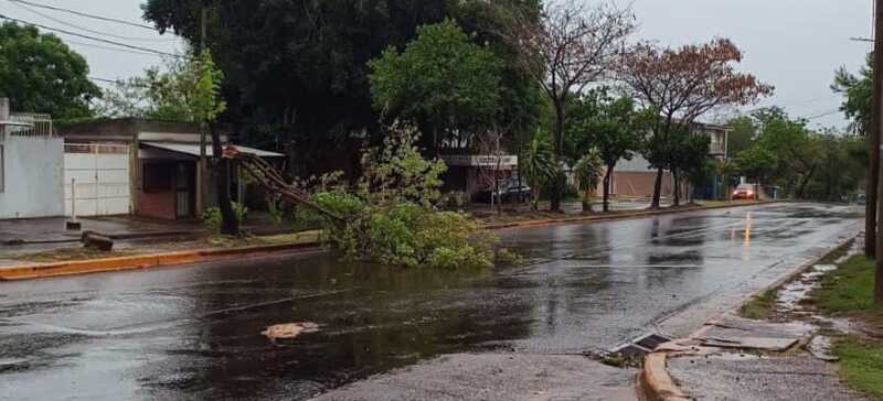 Imagen de WhatsApp 2025 11 16 a las 16.18.41 6de85e90 - 4