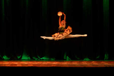 Ovación de pie para el Ballet Clásico del Parque en Brasil MG 0050 - 4