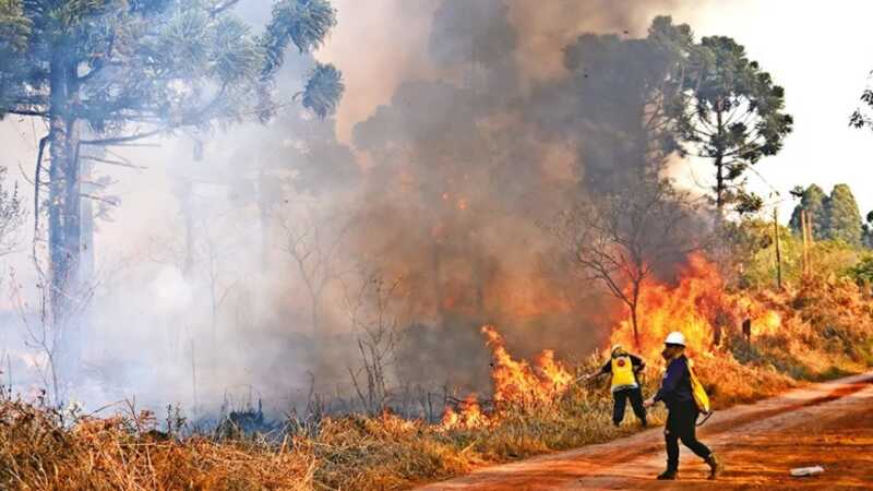 incendios en Misiones