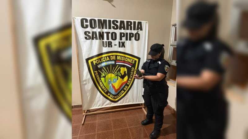 Rescataron en Santo Pipó a un pichón de tucán encontrado en plena área urbana tucán rescatado en Santo Pipó