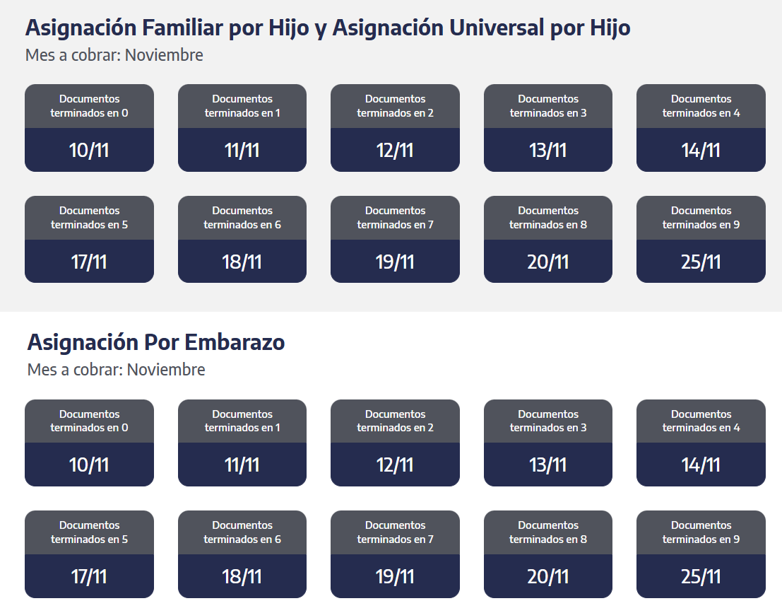 Anses publicó el calendario de pagos de noviembre 2025: cuándo cobran jubilados, pensionados 4 anse - 3