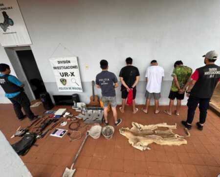Indigante hallazgo: mataron un puma en peligro de extinción y guardaron el cuero como trofeo puma