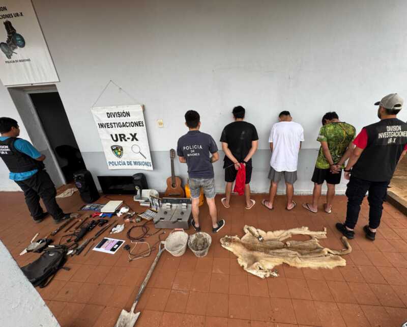 Indigante hallazgo: mataron un puma en peligro de extinción y guardaron el cuero como trofeo puma