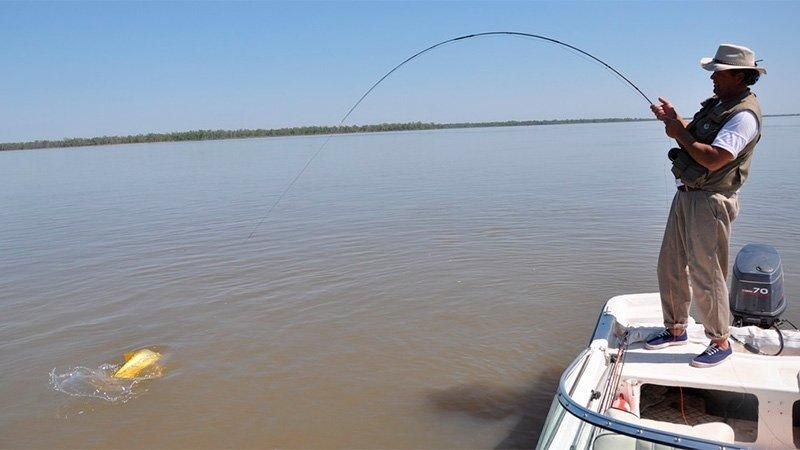 Misiones: rige la veda total de pesca 2025 hasta el 20 de diciembre 3 pesca - 2
