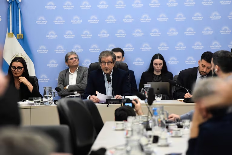 presupuesto 2026 - santilli