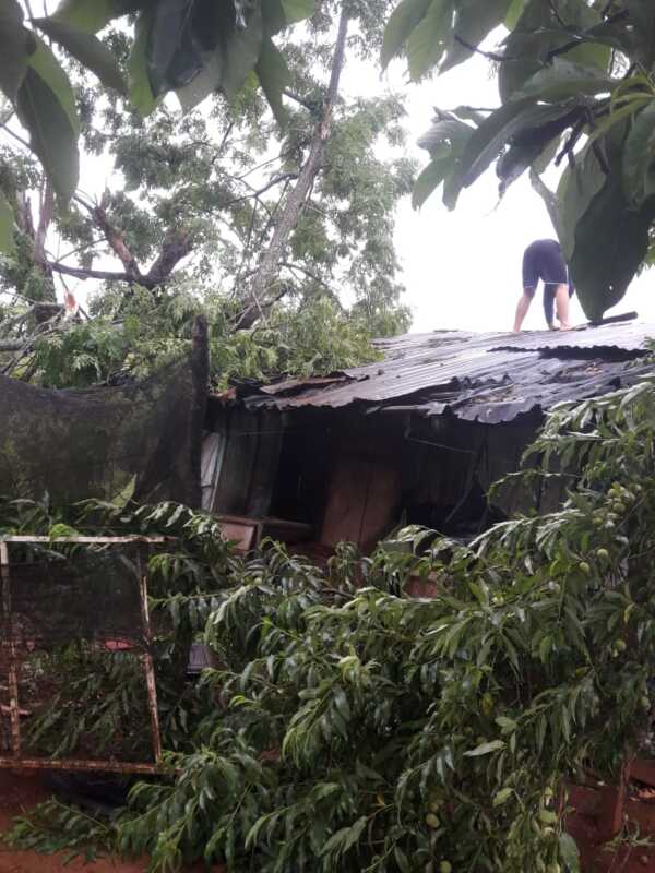 temporal misiones
