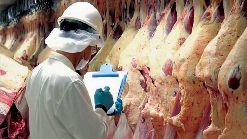 China impone cupos y aranceles del 55%: la carne argentina pierde terreno 3 China