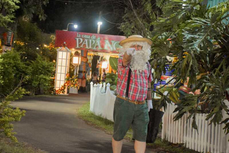 La Fiesta Nacional de la Navidad tiene hoy su gran noche en Alem con música, arte y tradición 1 Fiesta