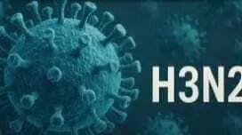 Alarma en la frontera: Bolivia activa protocolos por casos sospechosos de nueva variante de gripe 4 G8NKSVQWsAEcO2d - 3