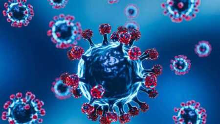 Alarma en la frontera: Bolivia activa protocolos por casos sospechosos de nueva variante de gripe G8TgVC9XMAEhmVR - 3