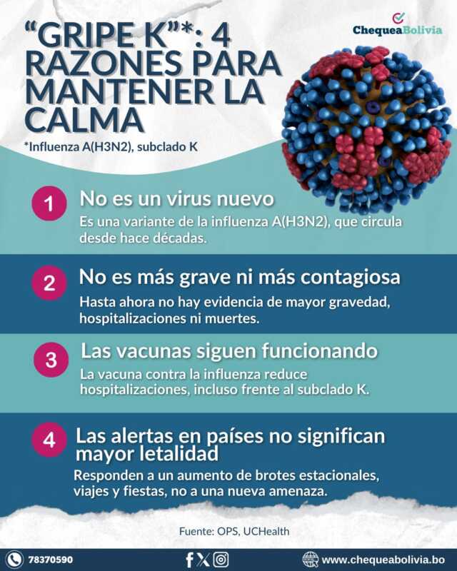 Alarma en la frontera: Bolivia activa protocolos por casos sospechosos de nueva variante de gripe 6 G8Tic4GWMAo4CQ8 - 5