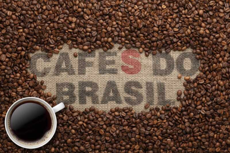 Café brasileño en crisis: caída histórica de exportaciones a Estados Unidos 4 Café brasileño: desplome de exportaciones a EE.UU. por medidas arancelarias