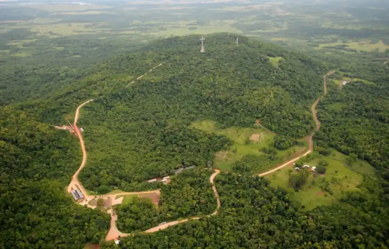 Misiones redujo un 18% la deforestación y alcanzó el nivel más bajo de su historia 1 Misiones