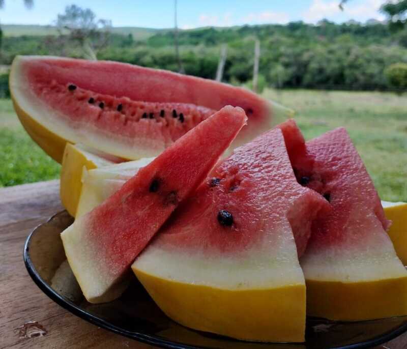 La mesa navideña en Misiones: tradiciones que resisten al paso del tiempo 2 Platos fríos, sabores del litoral y tradiciones familiares definen la celebración de la Navidad en los hogares misioneros.