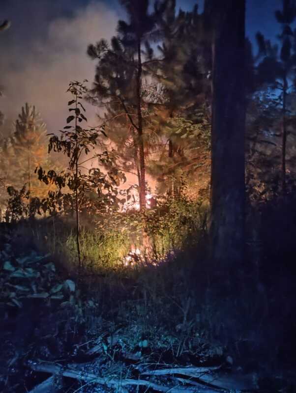 Bomberos controlaron dos incendios forestales en Panambí y Jardín América 2 WhatsApp Image 2025 12 05 at 07.41.25 - 1