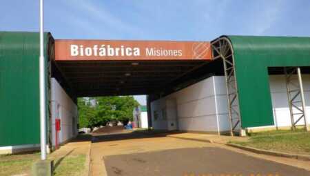 Miravet asumió en Biofábrica Misiones con un plan centrado en comercialización e internacionalización biofabrica misiones