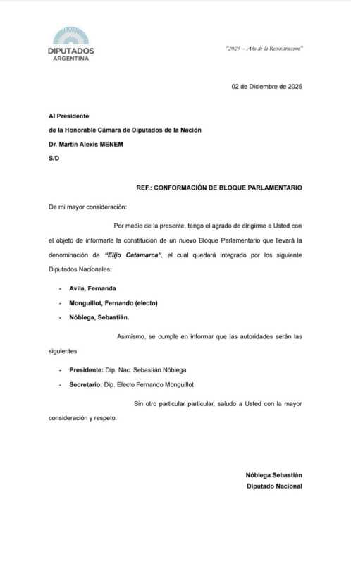 Unión por la Patria pierde 3 diputados con un nuevo bloque provincial de Catamarca 1 diputados elijo catamarca