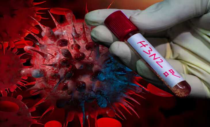 Alerta epidemiológica en Paraguay por aumento de casos de influenza A H3N2 epidemiológica