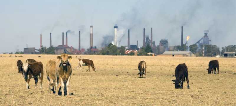 Ganaderos cuestionan el impuesto al metano y advierten que producir en Buenos Aires sería “cada vez más inviable” impuesto ganadería