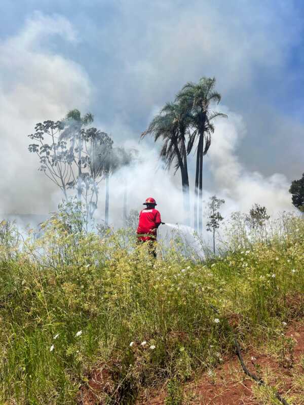 incendios 4 - 2