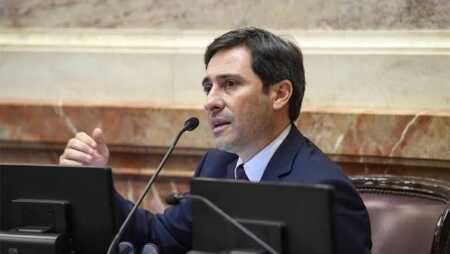 Goerling ratificó que el PRO sostendrá bloque propio en el Senado pero buscará “dar quórum” a LLA goerling PRO