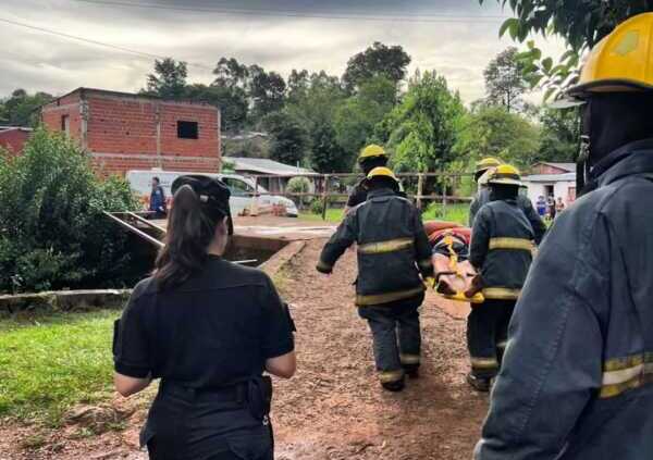 Adulto mayor cayó de un árbol al arroyo en Alem y sufrió graves fracturas Alem árbol