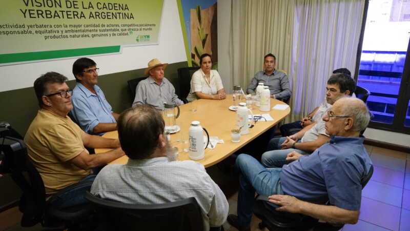reunión INYM yerba mate