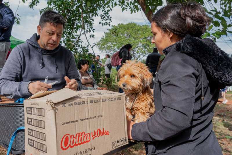 IMuSA despliega su quirófano móvil en distintos sectores de Itaembé Guazú 2 IMuSA refuerza la atención veterinaria en los barrios con operativos móviles