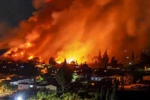 Incendios forestales en Chile dejan al menos 16 muertos y 50 mil evacuados 1 Incendios