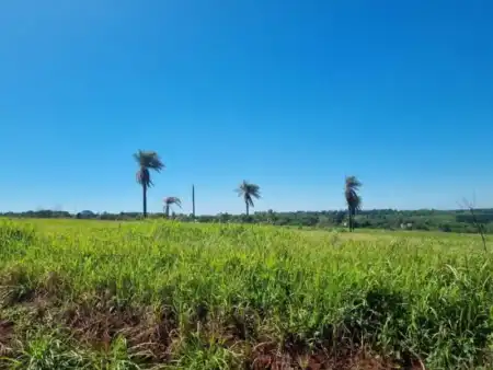Martes soleado y con máximas que alcanzarán los 34° en Misiones Misiones