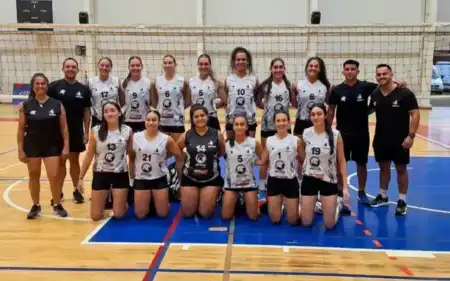 Voley